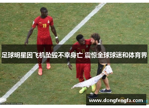 足球明星因飞机坠毁不幸身亡 震惊全球球迷和体育界
