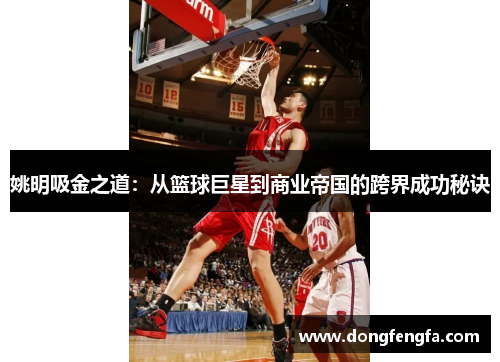 姚明吸金之道：从篮球巨星到商业帝国的跨界成功秘诀