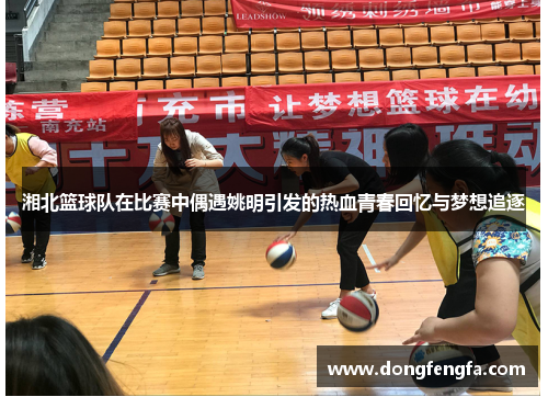 湘北篮球队在比赛中偶遇姚明引发的热血青春回忆与梦想追逐