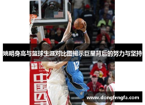 姚明身高与篮球生涯对比图揭示巨星背后的努力与坚持
