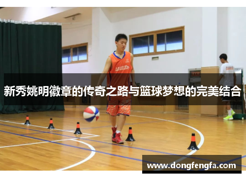 新秀姚明徽章的传奇之路与篮球梦想的完美结合